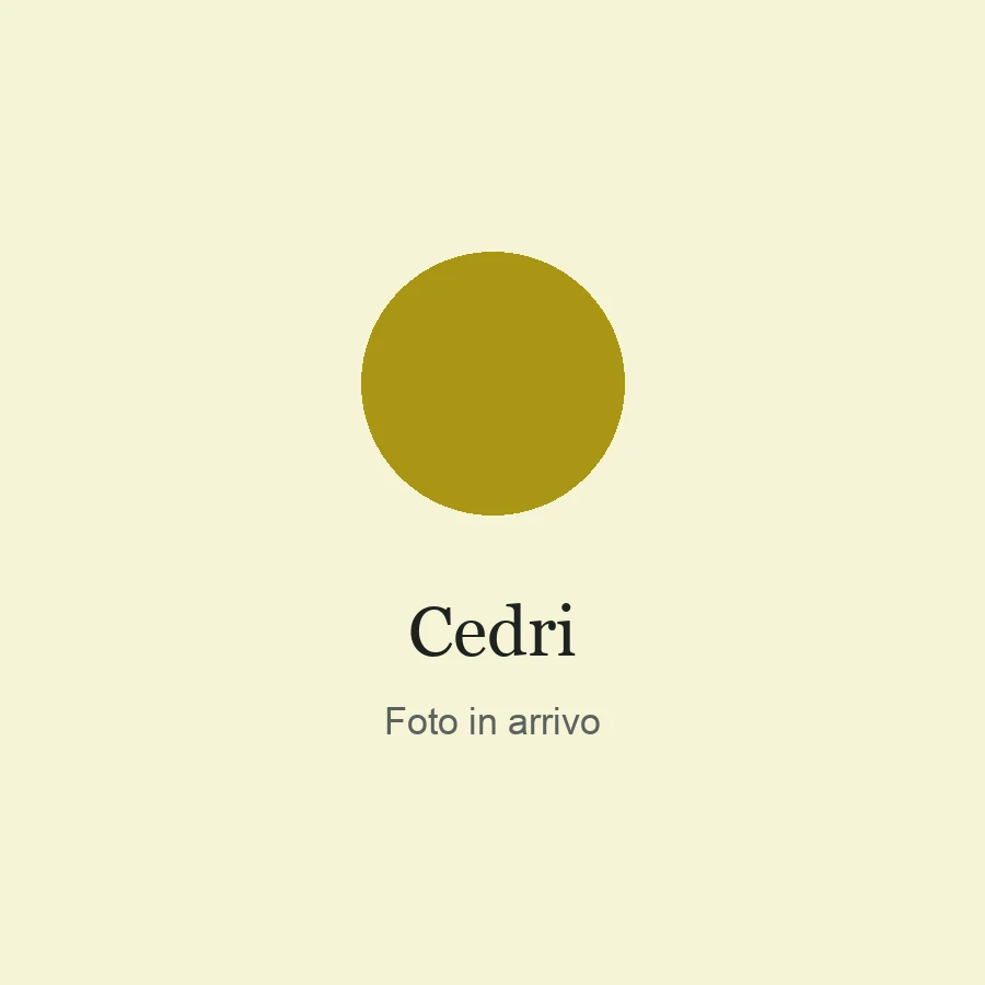 Foto provvisoria: cedri